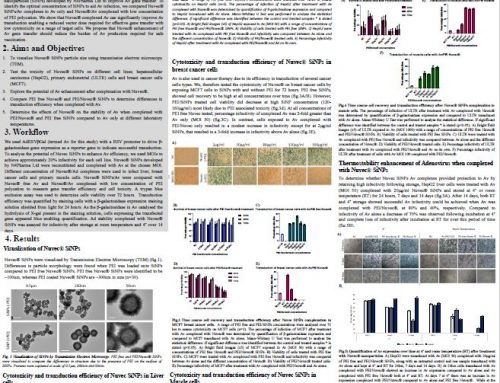 Poster presentation: Enhancing adenovirus gene transfer using novel nanoparticles complexes
